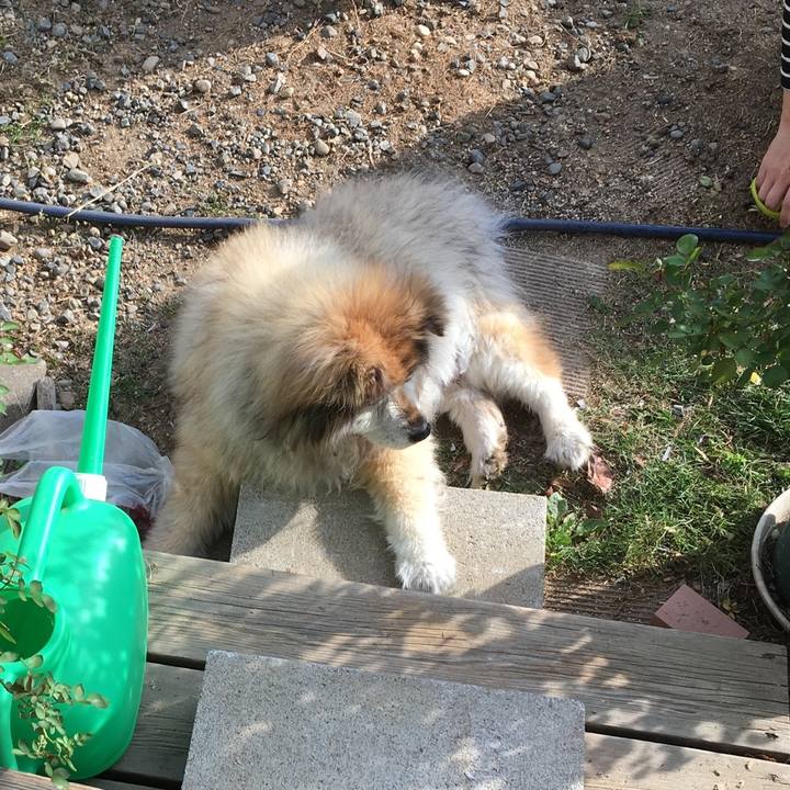 Ed0d09e1 0cc9 444a a4b7 db37677546d9 1608703780701