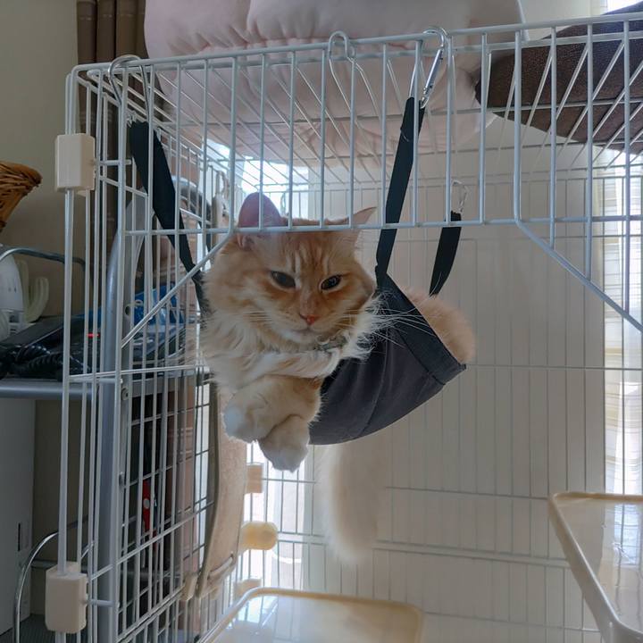 Ed0d44a5 c9fe 41e9 8206 261e96f45c8e 1656304321661