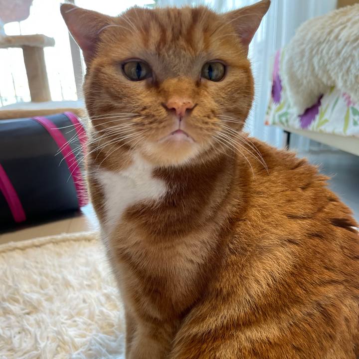 Ed0d83a9 af7a 416f a2d3 2ad1bbcfd4b5 1630224625012