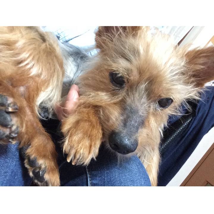 Ed0db735 4b58 4f5c 9623 c8732171bf03 1591766975751