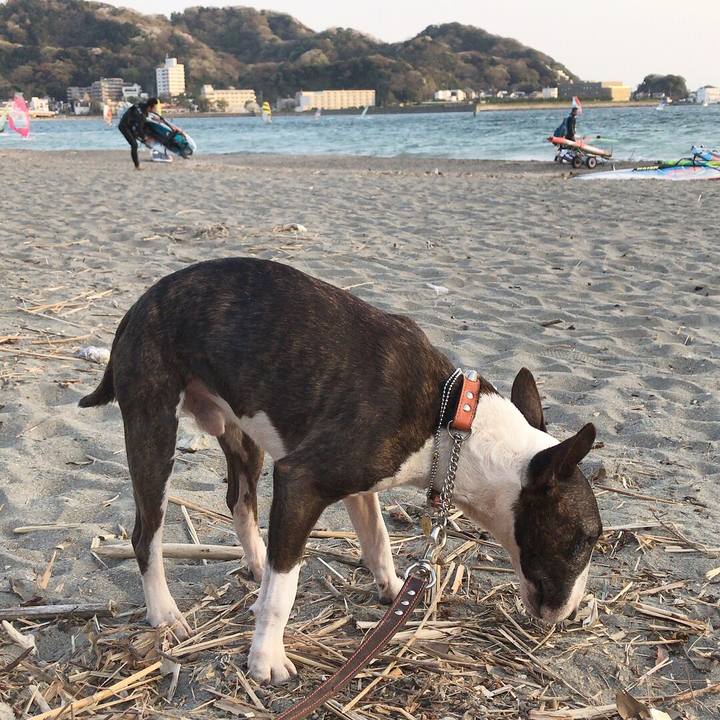 Ed0de1ea a04d 4a8c 9514 819bfbbb9e3b 1522581471524