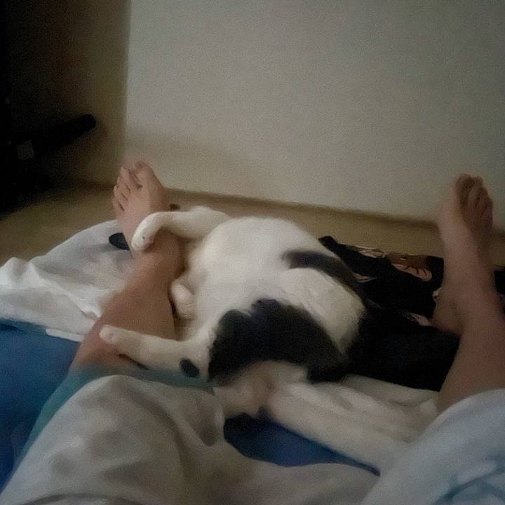 Ed0e0dad 7c40 4136 b195 6b0a3a12af9d 1750622398946