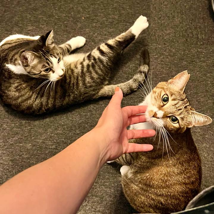 Ed0e4b4b 5d96 44fa a68e 76b91dcc4f10 1759408659562