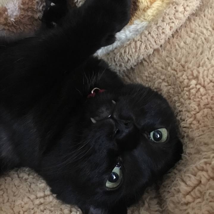 Ed0e5162 d818 4c03 812c fd4d6f112c03 1509144038761