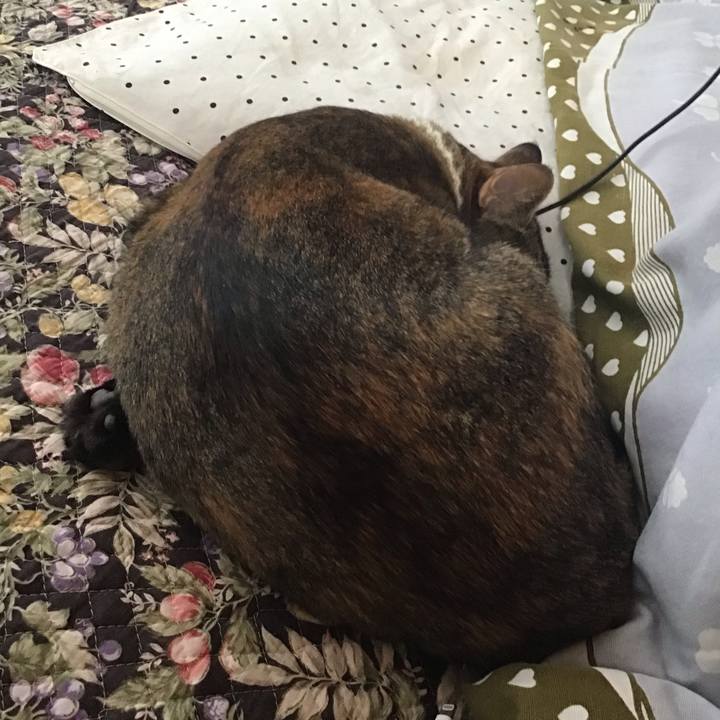 Ed0e7017 6b53 4147 87ab a8bad2b68e25 1648172077349