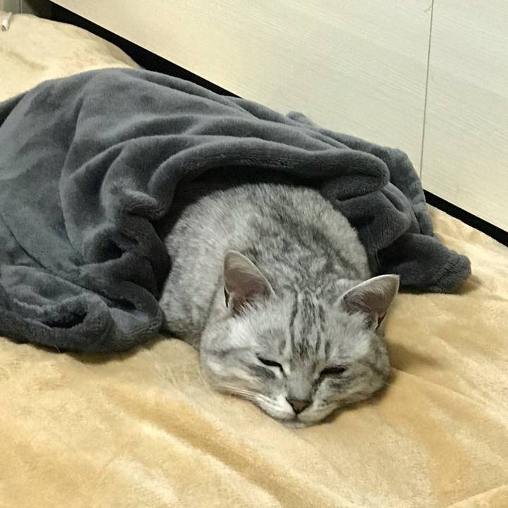 Ed0e9409 d71c 4fc7 81d7 8013667b682f 1584509245318