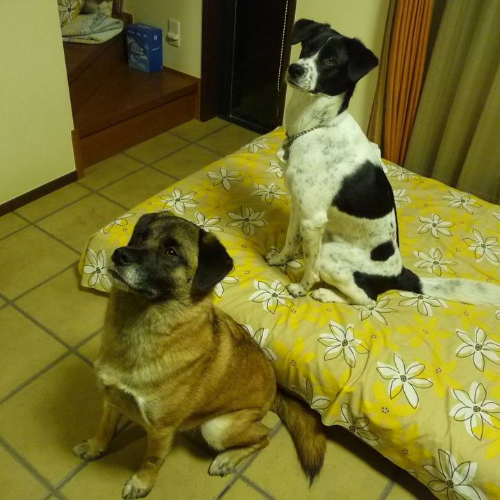 Ed0ea470 e032 441b 908d 64a6b5db4c3a 1576885788213