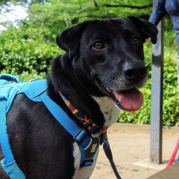 Ed0eb9e6 d74a 42a6 b711 47d96ca40d04 1620174450419