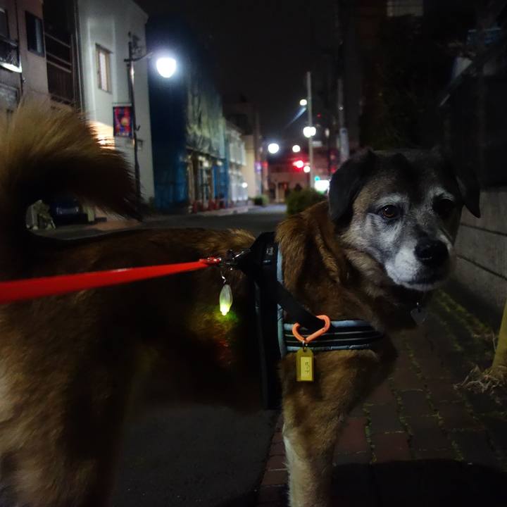 Ed0ef6c5 e760 4007 8712 af6b6993be85 1550242229018