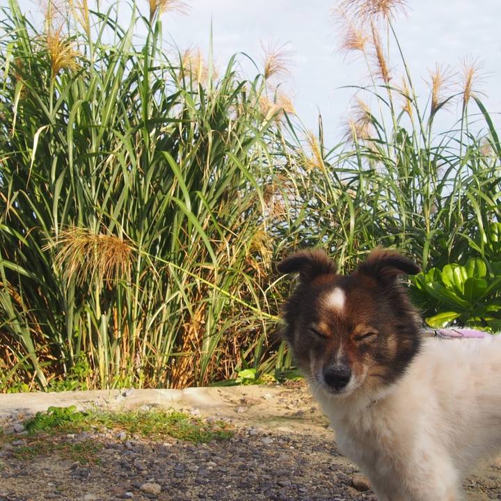 Ed0f106f d1f9 4487 bb14 c4b4342789ac 1541992580448