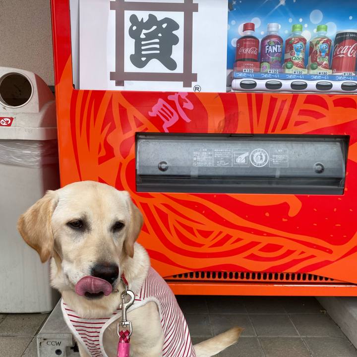 Ed0f1452 d79c 4875 b0bb ce1d5677b7d2 1619560516307