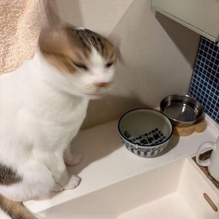 Ed0f52aa 73a7 41c6 9899 dbddd2a409c6 1764365661547