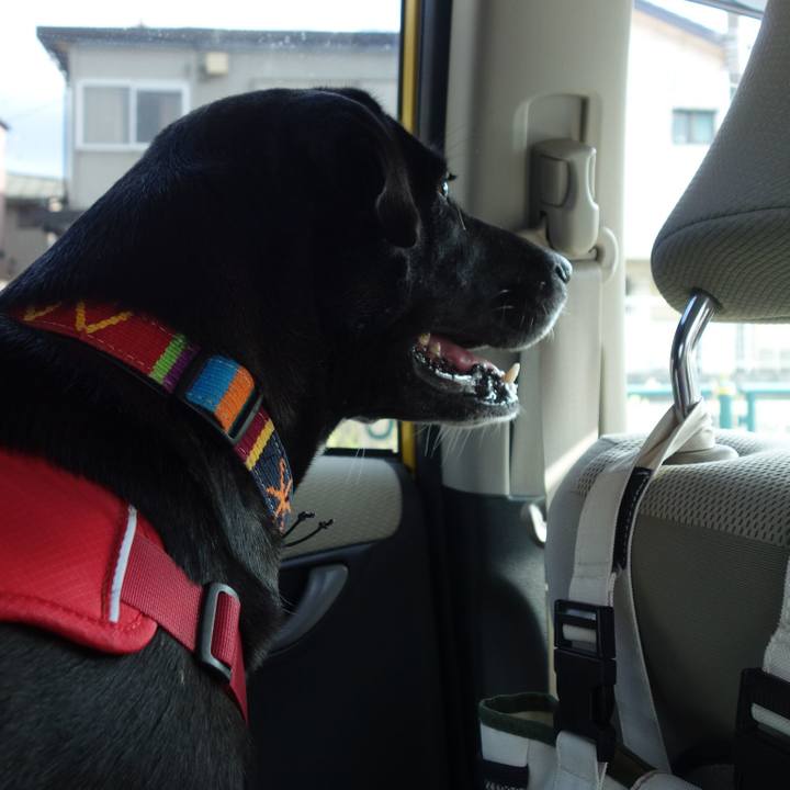 Ed0f5b1d ed9e 44af ade2 c9dafecde421 1598265908850