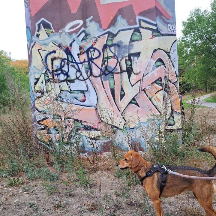 Ed0faafc 2449 47b7 ae5c 2398ebe2815f 1760307718753