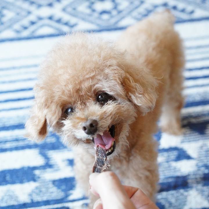 Ed0fd786 df87 48f4 af75 ee08a484b4af 1658629429189