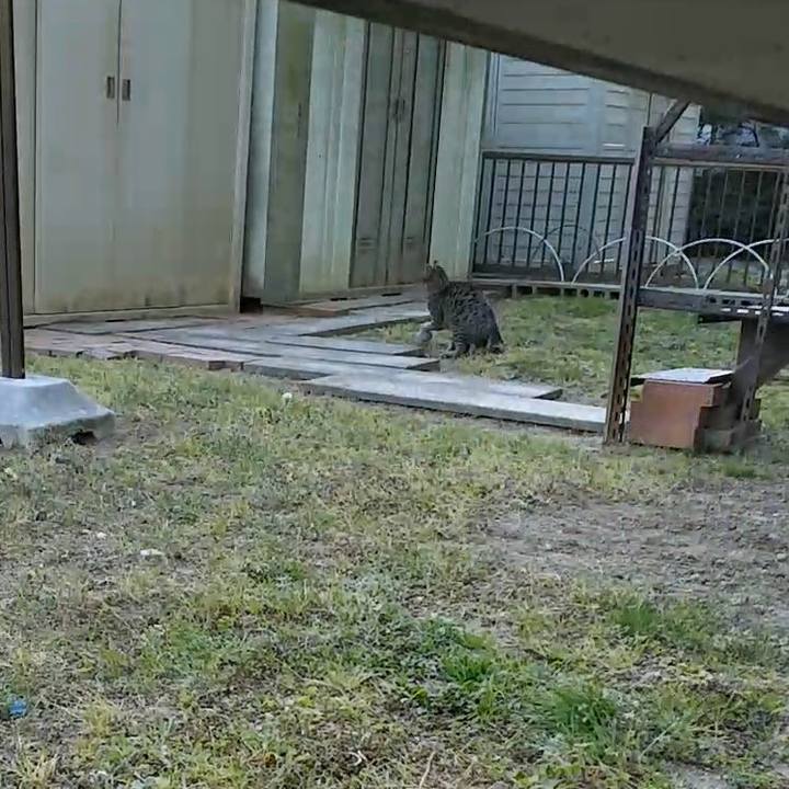 Ed100aff e109 463c 9b2d 7019adcd0035 1554277236052