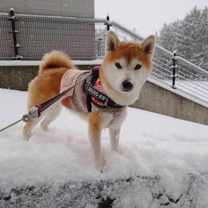 Ed103898 5a4d 4892 8400 38f605730674 1638409001069