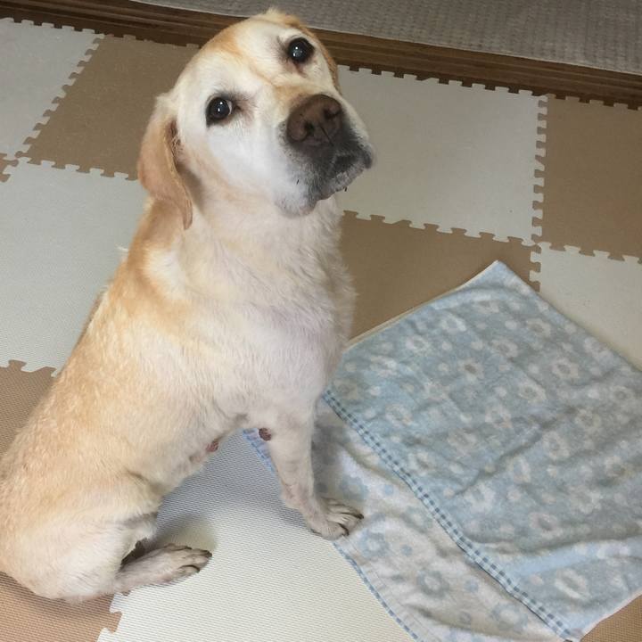 Ed103f28 83c8 4d81 bc8a 72d6794a8297 1588297323861