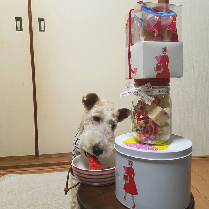 Ed104a4e 1216 436b 8cf2 841b2f6aa677 1550148203587