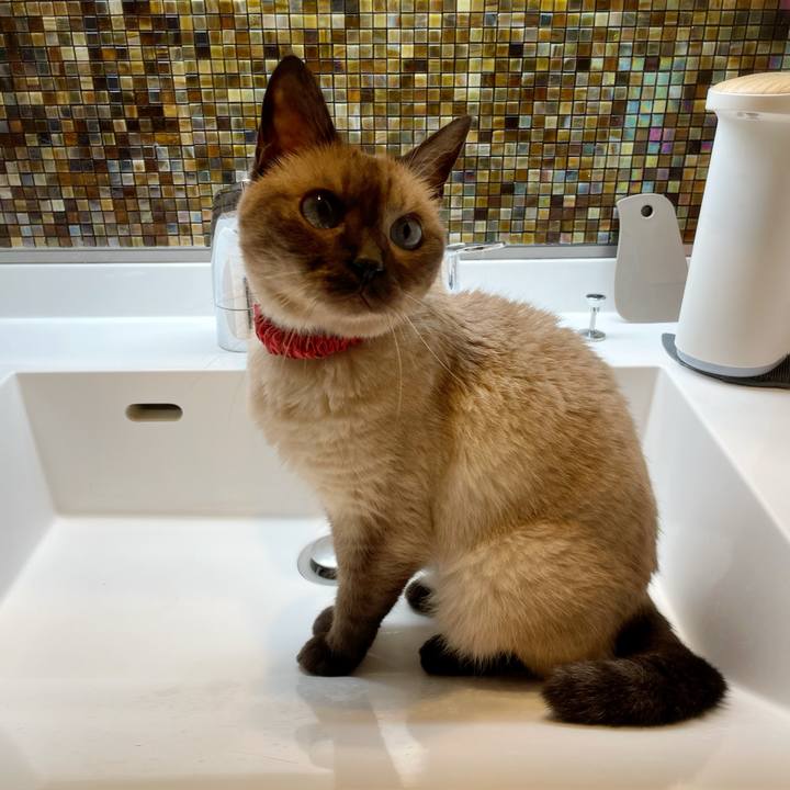 Ed1086a3 0e4a 4642 abac 61df8bef96b0 1757328802132