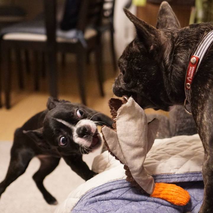 Ed10a5a5 e13c 43fe b204 65c5ade07824 1543810909319