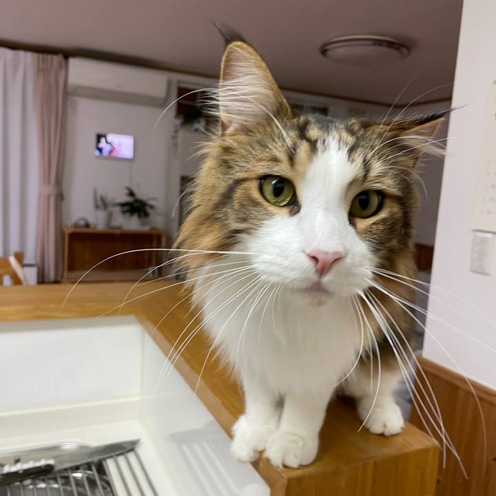 Ed10a602 0033 4546 8cc3 f7db8436ceeb 1665863174205