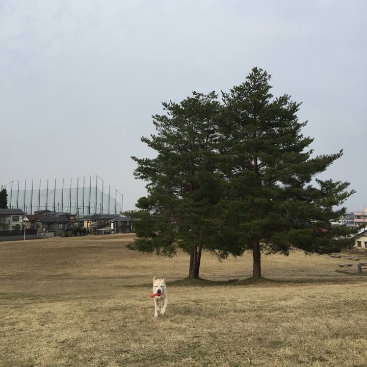 Ed10d274 1aa0 4ea6 9110 b9d3912ed55b 1522565755316