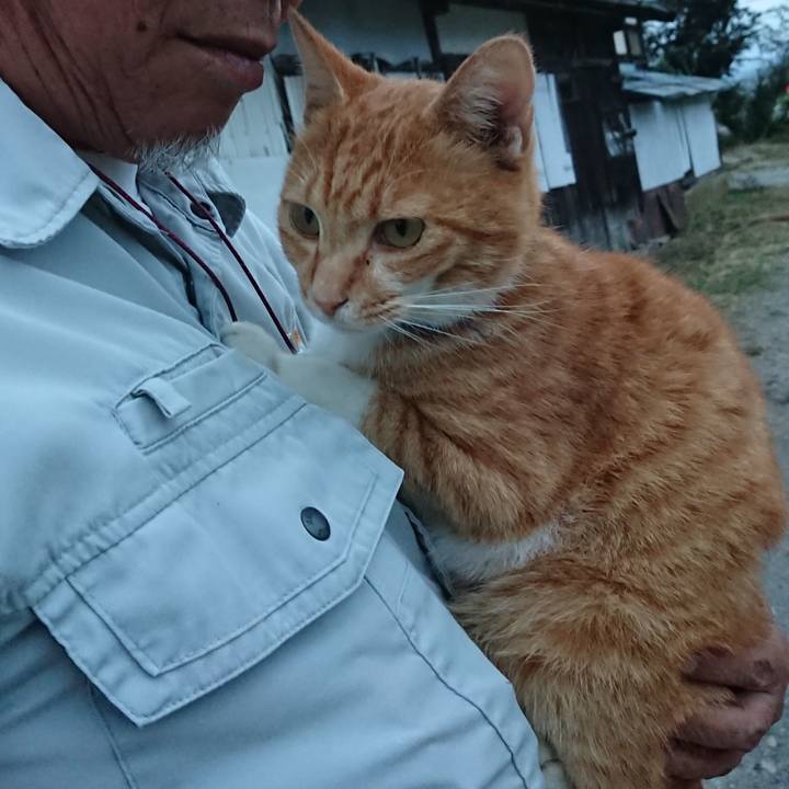 Ed10ebb3 7189 413e 8bfd b44aa07fa8de 1600937725014