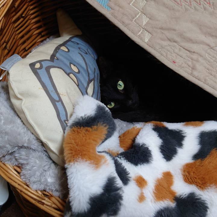 Ed114224 72cf 4865 95d5 b26e06e23592 1732269045331