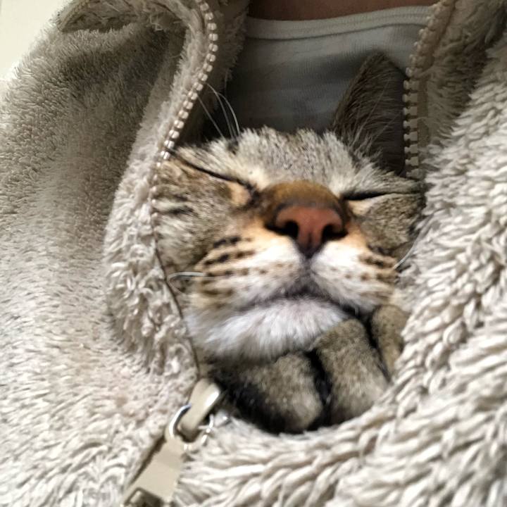 Ed114503 b4bf 463f b5c4 c1ee6fdae6a5 1550573900932