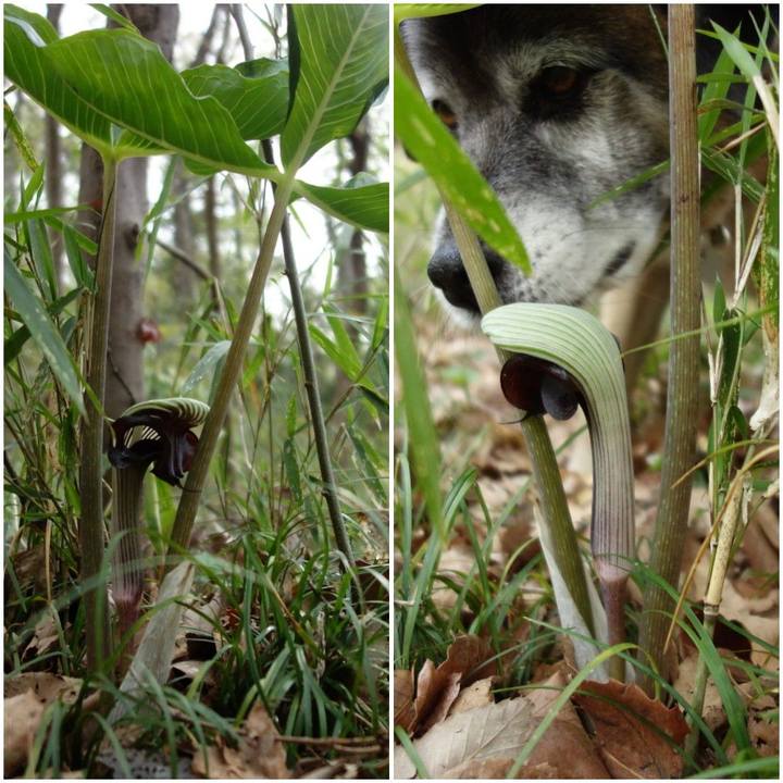 Ed11476d f28a 41d9 9e8b b6f1899d6067 1555203938334