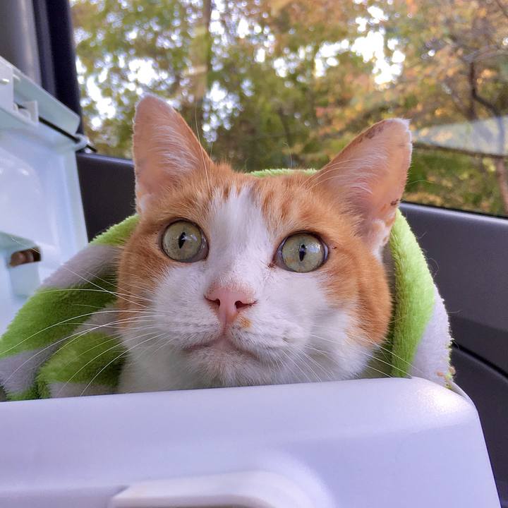 Ed116332 d9e6 438d ae91 fc8781601f8d 1578564709730