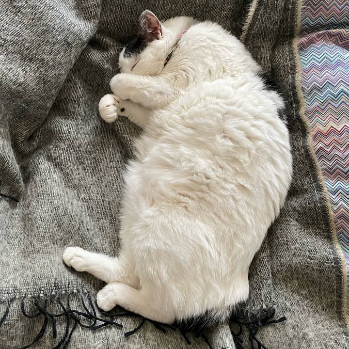 Ed1170ec c8d9 486e b276 f3815a1ccaa4 1650843237330