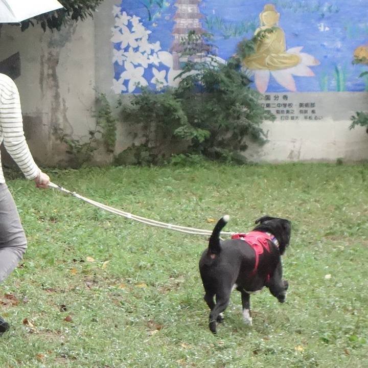 Ed117edb 763e 44f8 96c9 d4ee0136fe01 1665016602828