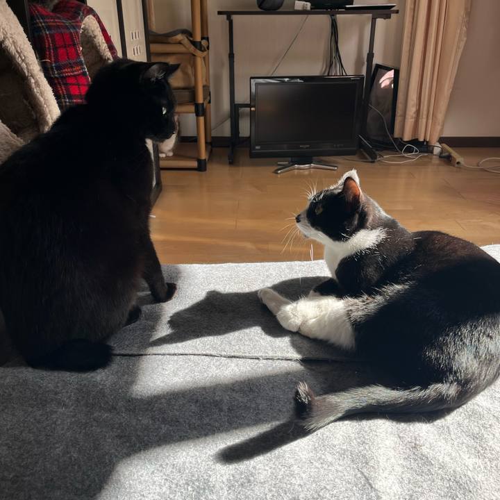 Ed11d078 c099 40ae 90da a36677f2e6dc 1644118917125