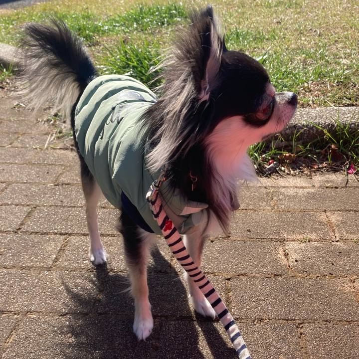 Ed11fa9f 9c67 4f3a b566 868246090431 1613794960029