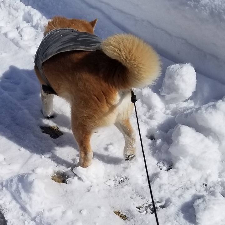 Ed12632f b9ad 4864 9951 d7d4a3395954 1739855958308