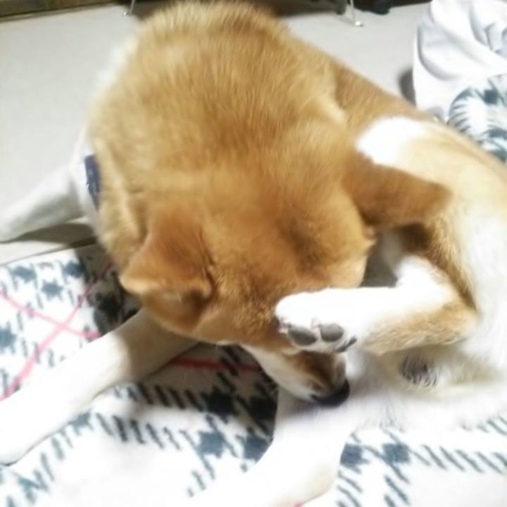 Ed126379 a190 48b9 b688 e27cfc8b6210 1525604566996