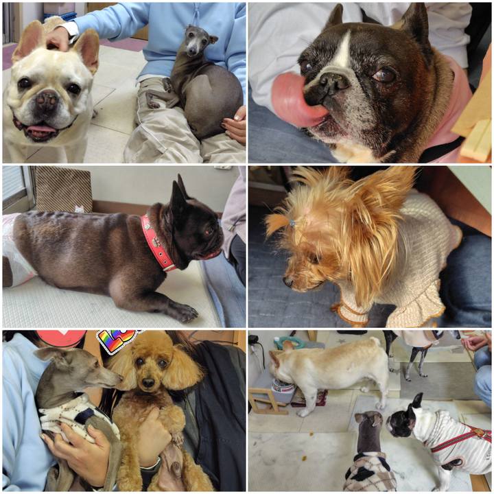 Ed12923b f533 4daf 961f f06af8936ab3 1764485551444