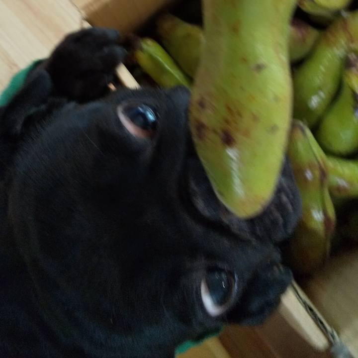 Ed12b94b 048f 48e0 82e0 da18b74050d4 1588132538007