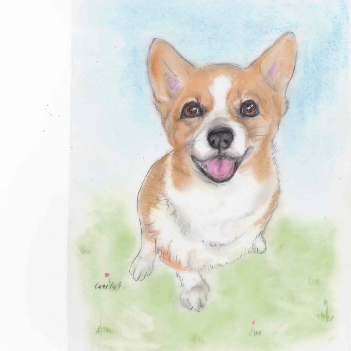 Ed12d1d1 2ead 4f34 b6bb 374d285a4d10 1600270732421