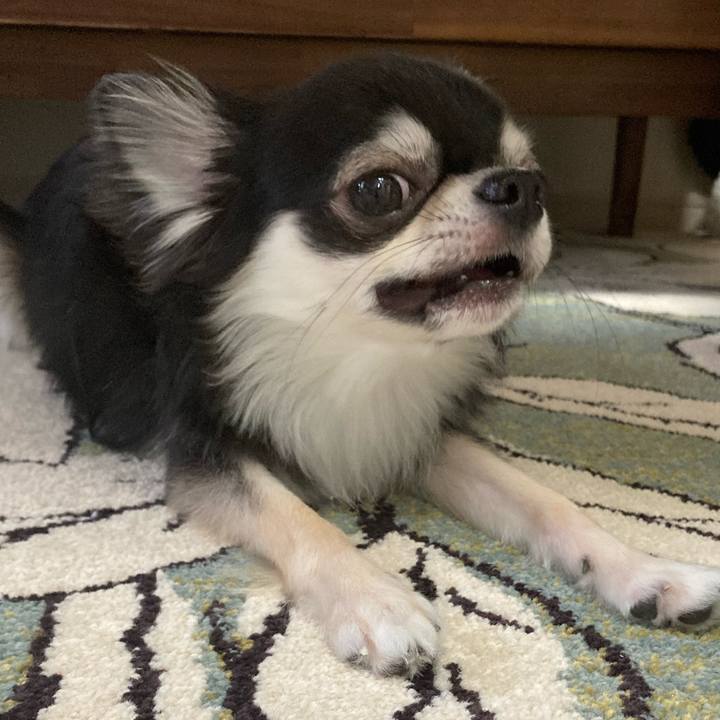 Ed12ec93 d3d0 41d3 9068 feae0c10bece 1624144397609