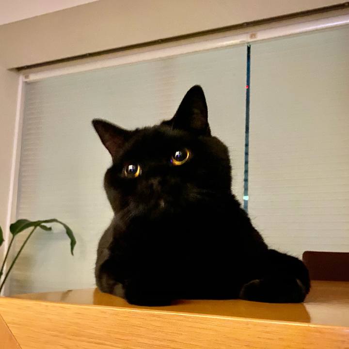 Ed1308a4 85d5 41ab 948c 854068d32c5d 1690895278203