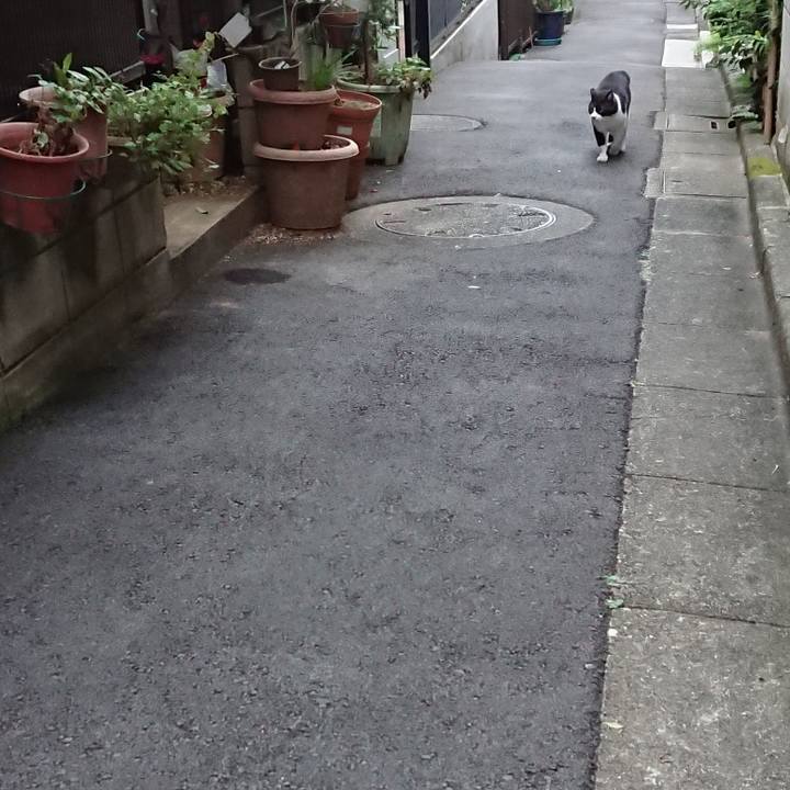 Ed1309c2 bb85 455f a9fc aa54dc81410c 1663197936206