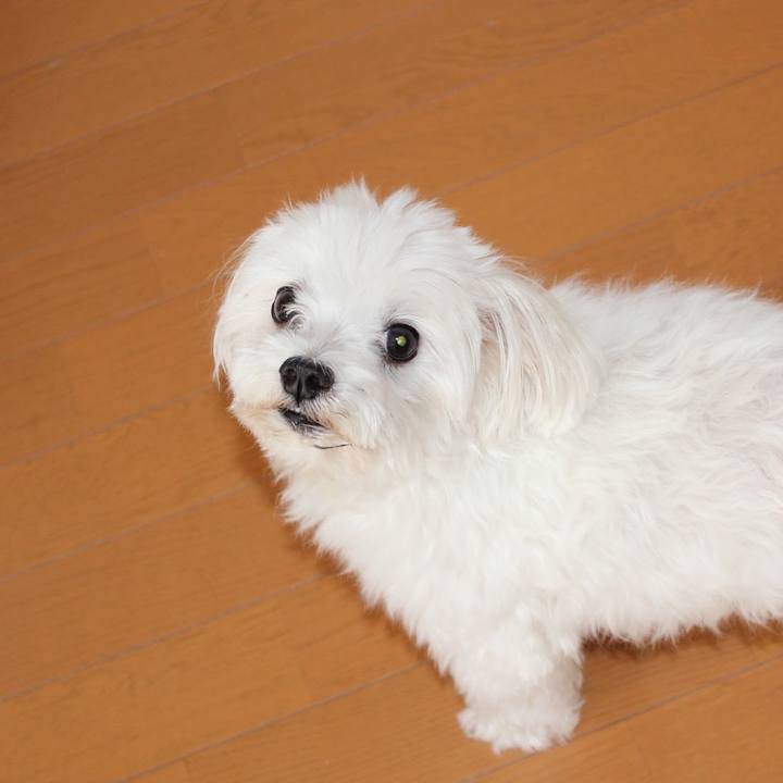 Ed133079 09ff 48f9 a797 13af9a68e0cb 1658897489582