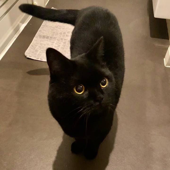 Ed1339ff 02cf 4a7a 9302 19f7c595a4fc 1700230832494