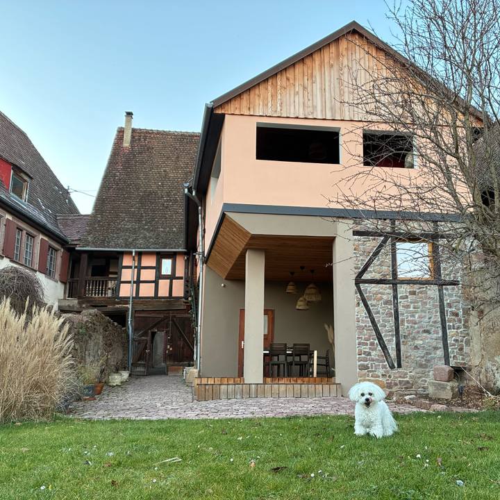 Ed1377fb 554d 41b6 8f24 2da23f8def2f 1766953351045