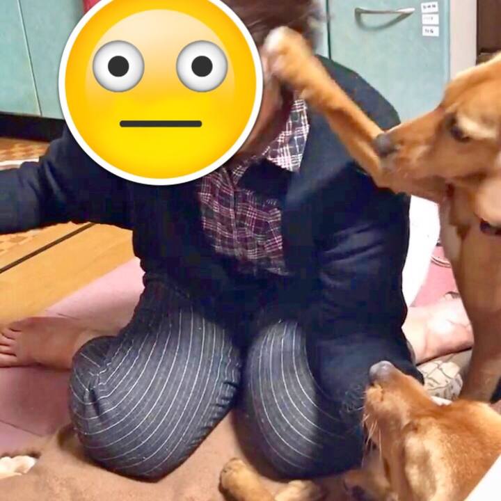 Ed138133 201b 4947 a3eb 5a98b58d713b 1516965928614