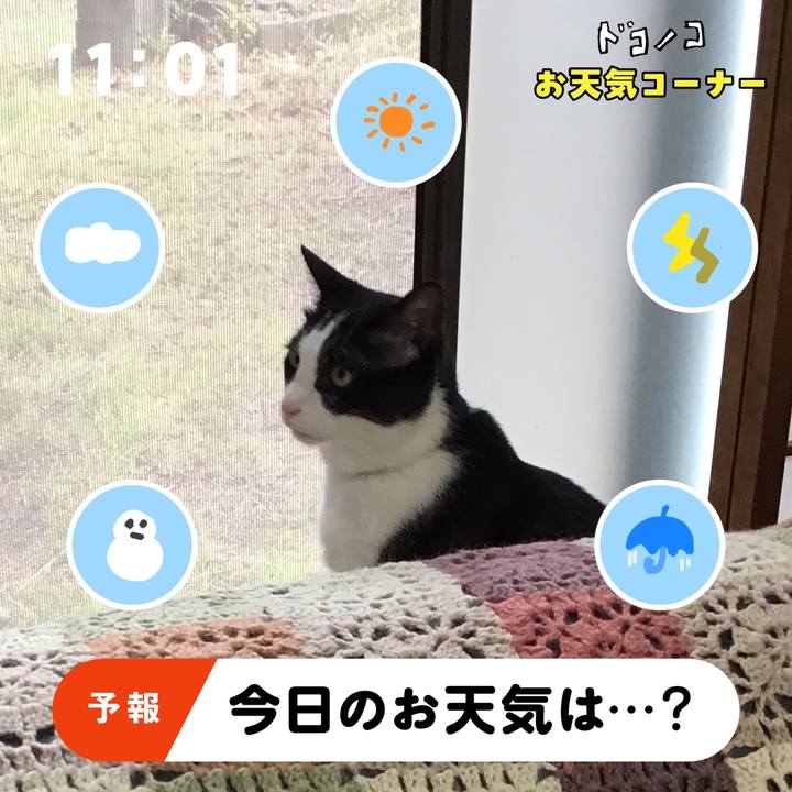 Ed13af3d 29e8 460b a837 d59434061d72 1781599733065