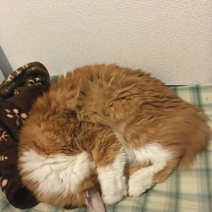 Ed13d75f e3ee 40b5 8a74 b19fc668514e 1571400232445